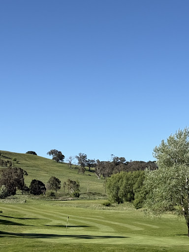 Photo from customer review