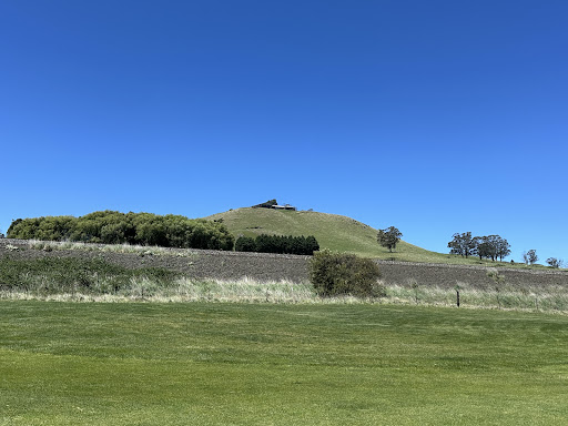 Photo from customer review