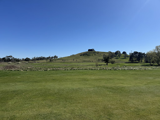 Photo from customer review